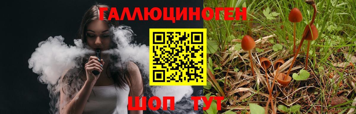 Псилоцибиновые грибы прущие грибы Верхняя Пышма