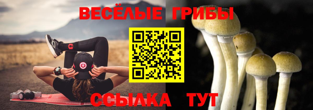 Галлюциногенные грибы ЛСД  Вход с VPN  Верхняя Пышма 